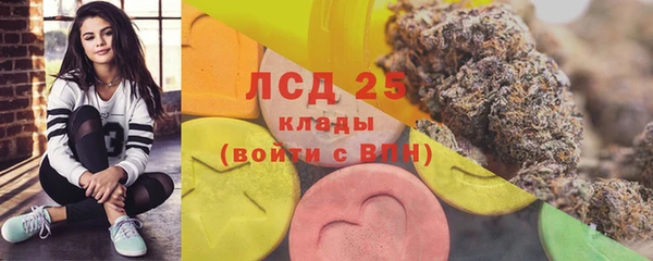 дмт Аркадак