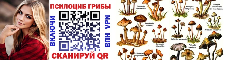 Псилоцибиновые грибы Cubensis  Сибай 